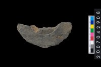 藏品(石環製作材料－中央帶啄孔與旋截痕打製圓板殘件)的圖片