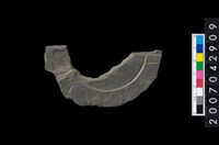 藏品(石環製作材料－中央帶啄孔與旋截痕打製圓板殘件)的圖片