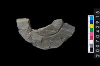 藏品(石環製作材料-中央帶啄孔與旋截痕打製圓板殘件)的圖片