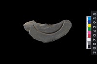 藏品(石環製作材料-中央帶啄孔與旋截痕打製圓板殘件)的圖片