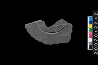 藏品(石環製作材料-中央帶啄孔與旋截痕打製圓板殘件)的圖片