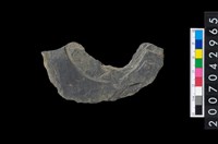 藏品(石環製作材料-中央帶啄孔與旋截痕打製圓板殘件)的圖片