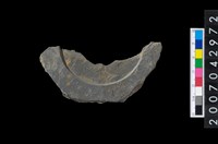 藏品(石環製作材料-中央帶啄孔與旋截痕打製圓板殘件)的圖片