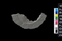 藏品(石環製作材料-中央帶啄孔與旋截痕打製圓板殘件)的圖片