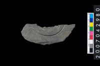 藏品(石環製作材料-中央帶啄孔與旋截痕打製圓板殘件)的圖片