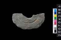 藏品(石環製作材料-中央帶啄孔與旋截痕打製圓板殘件)的圖片