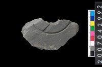 藏品(石環製作材料-中央帶啄孔與旋截痕打製圓板殘件)的圖片