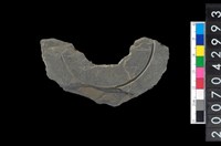 藏品(石環製作材料-中央帶啄孔與旋截痕打製圓板殘件)的圖片