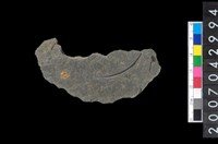 藏品(石環製作材料-中央帶啄孔與旋截痕打製圓板殘件)的圖片