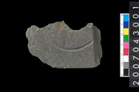 藏品(石環製作材料-中央帶啄孔與旋截痕打製圓板殘件)的圖片