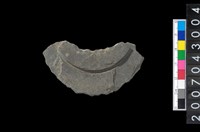 藏品(石環製作材料-中央帶啄孔與旋截痕打製圓板殘件)的圖片