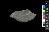 藏品(石環製作材料-中央帶啄孔與旋截痕打製圓板殘件)的圖片