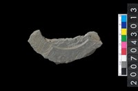 藏品(石環製作材料-中央帶啄孔與旋截痕打製圓板殘件)的圖片