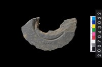 藏品(石環製作材料－中央帶啄孔與旋截痕打製圓板殘件)的圖片