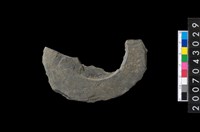 藏品(石環製作材料－中央帶啄孔與旋截痕打製圓板殘件)的圖片