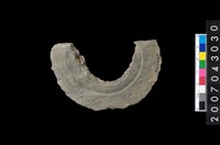 藏品(石環製作材料－中央帶啄孔與旋截痕打製圓板殘件)的圖片