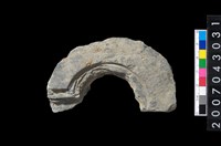 藏品(石環製作材料-中央帶啄孔與旋截痕打製圓板殘件)的圖片