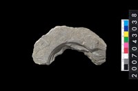 藏品(石環製作材料-中央帶啄孔與旋截痕打製圓板殘件)的圖片