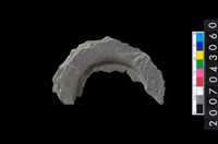 藏品(石環製作材料-中央帶啄孔與旋截痕打製圓板殘件)的圖片