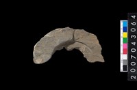 藏品(石環製作材料-中央帶啄孔與旋截痕打製圓板殘件)的圖片