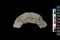 藏品(石環製作材料-中央帶啄孔與旋截痕打製圓板殘件)的圖片