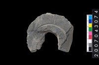 藏品(石環製作材料-中央帶啄孔與旋截痕打製圓板)的圖片