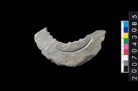 藏品(石環製作材料-中央帶啄孔與旋截痕打製圓板)的圖片