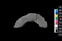 藏品(石環製作材料-中央帶啄孔與旋截痕打製圓板)的圖片