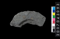 藏品(石環製作材料－中央帶啄孔與旋截痕打製圓板殘件)的圖片