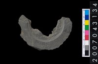 藏品(石環製作材料-中央帶啄孔與旋截痕打製圓板殘件)的圖片