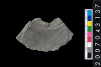 藏品(石環製作材料-中央帶啄孔與旋截痕打製圓板殘件)的圖片