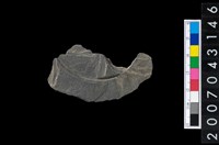 藏品(石環製作材料-中央帶啄孔與旋截痕打製圓板殘件)的圖片