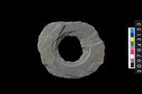 藏品(石環製作材料-旋截圓環粗胚)的圖片