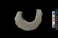 藏品(石環製作材料-旋截圓環粗胚)的圖片