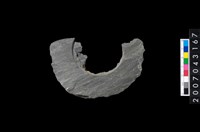 藏品(石環製作材料-旋截圓環粗胚)的圖片