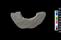 藏品(石環製作材料-旋截圓環粗胚)的圖片