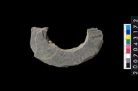 藏品(石環製作材料-旋截圓環粗胚)的圖片