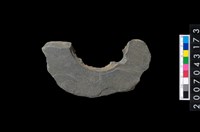 藏品(石環製作材料-旋截圓環粗胚)的圖片