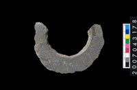 藏品(石環製作材料-旋截圓環粗胚)的圖片