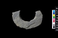 藏品(石環製作材料-旋截圓環粗胚)的圖片