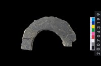 藏品(石環製作材料-旋截圓環粗胚殘件)的圖片