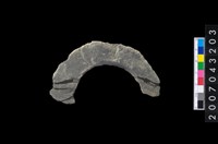 藏品(石環製作材料-旋截圓環粗胚殘件)的圖片