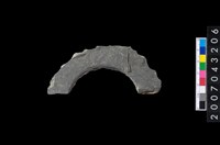 藏品(石環製作材料-旋截圓環粗胚殘件)的圖片