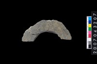 藏品(石環製作材料-旋截圓環粗胚殘件)的圖片