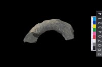 藏品(石環製作材料-旋截圓環粗胚)的圖片