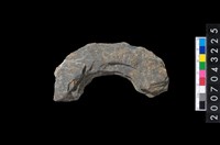 藏品(石環製作材料-旋截圓環粗胚殘件)的圖片