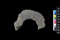 藏品(石環製作材料-旋截圓環粗胚殘件)的圖片