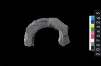 藏品(石環製作材料－旋截圓環粗胚殘件)的圖片