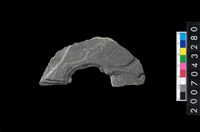 藏品(石環製作材料-旋截圓環粗胚殘件)的圖片