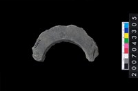 藏品(石環製作材料-旋截圓環粗胚殘件)的圖片